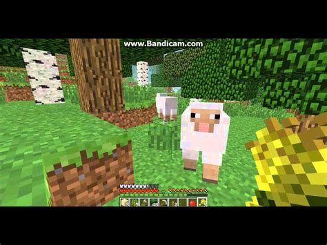 sheep breed minecraft|what attracts sheep in minecraft.